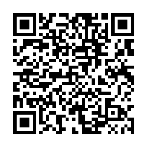 就在苏凡与他的司机刚刚脱离了那些阻拦者的射击二维码生成