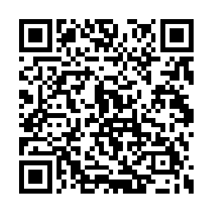 就在距离平阳城西门大约数百丈的位置停了下来二维码生成