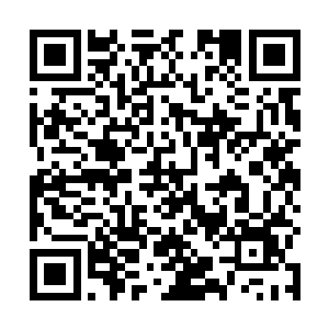 就在身体被重击的那一瞬间她将所有的事情都记起来了二维码生成