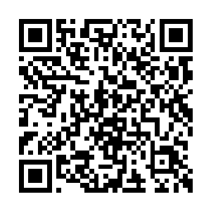 就在这两个人的攻击马上就要打到夏天的身上时二维码生成