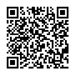 就在这个时候卡卡西也带着宇智波佐助来到了比赛场二维码生成