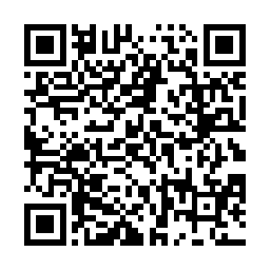 就在这些人呼啸带风的拳脚即将落到朱平安身上的时候二维码生成