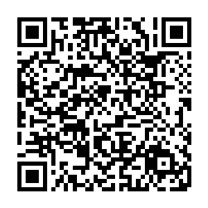 就在这仿佛天神一般影像中的玉指轻轻接住了头顶那根碾压来的食指的时候二维码生成