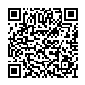 就在这微妙的平衡点上……我获得了系统的认可二维码生成
