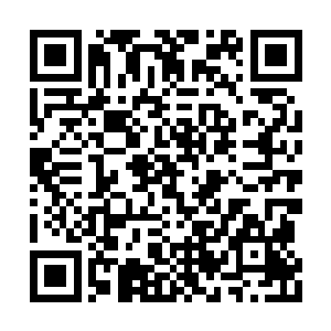 就在这时一声堪比世界女高音的尖叫声高昂响起二维码生成