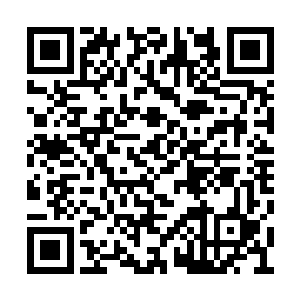 就在这时一道十分不和谐的声音从夏天身后传来二维码生成