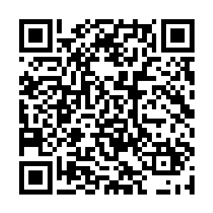 就在这时一道熟悉的身影出现在夏天他们两个的身边二维码生成