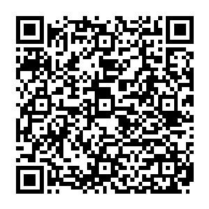 就在这时剑尘和努比斯两人放佛早就商量好似地突然动手杀向正在查看空间戒指的两名长老二维码生成
