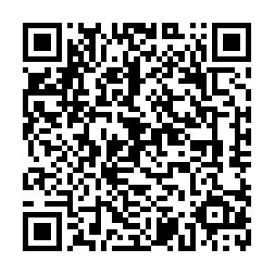 就在这时杨洛看见贝音瑶和那名叫吕秀丽的女警有说有笑的出现在楼梯口二维码生成