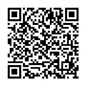 就在这时楼梯口传来一声苍老但中气十足的声音二维码生成