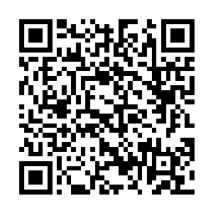 就在这时趴在地上的白光直接站起身向夏天冲过了过来二维码生成