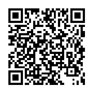 就在这时院门外传来一阵脚步声还有女生的声音二维码生成