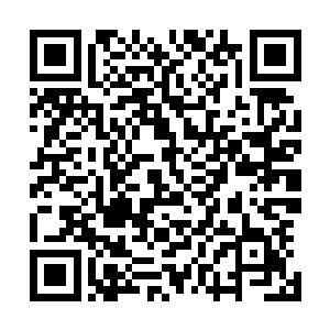 就在连华夏帝国文化部的工作人员都以为这书要扑的情况下二维码生成