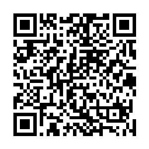 就在那个叫赛顿男人变色的脸色和那个女人的一声惊呼中二维码生成