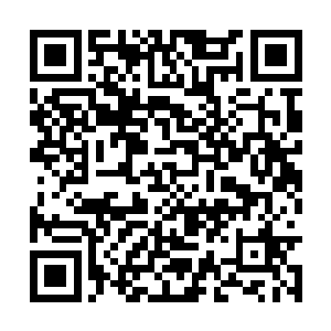 就在那些巨龙刚刚想要动手的时候凯瑟琳顿时喝道二维码生成