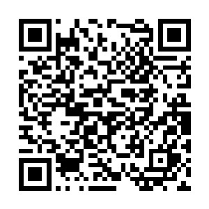 就在那几个玩家嬉笑着折折辱虐杀了那个游荡NPC后二维码生成