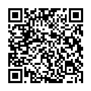 就在那女人放着恶毒的眼神就要从地上爬起来的时候二维码生成