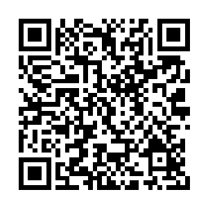 就在镇海星域中的飞仙海对修士进行洗礼的时候二维码生成