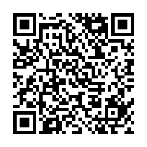 就在阿努夫里因为最终被艾莉娜认出来而感到开心和骄傲时二维码生成