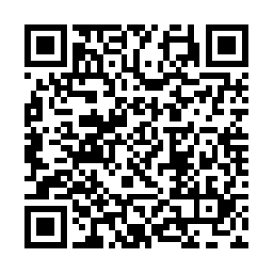 就在风翔宇的攻击马上就要轰到两个人的身上的时候二维码生成