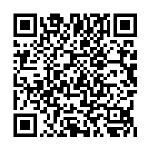 就在飞星对着被烧的这一片废墟酝酿风暴的时候二维码生成