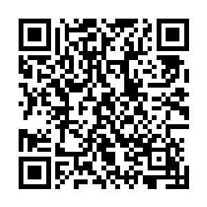 就在飞龙部落的人准备开口要求释放飞星和其他族人的时候二维码生成