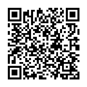 就在飞龙部落的猎手们赶着白雾族的人要向前走的时候二维码生成