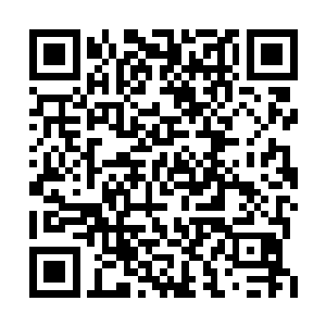 就在马文躲在暗处查看自己新出现的血脉的时候二维码生成