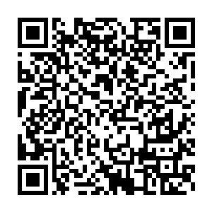 就在高富帅使用一个漂亮的回旋踢时高富帅止住了自己后退的脚步二维码生成