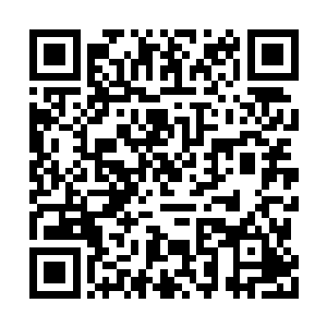 就在魔始天尊的巴掌要落在小魔仙脸上的一刹那二维码生成