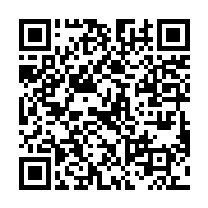 就在龙傲天再一次斩杀了一个天尊级别的血狱怪物之后二维码生成