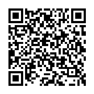 就在龙傲天准备冲出幽冥宇宙的天地屏障的时候二维码生成