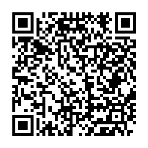 就在龙傲天等人离开十几分钟之后刚才战斗的地方顿时出现了六道身影二维码生成