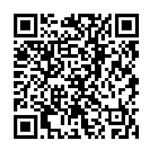 就坐在了先前那个因为中毒而昏迷的乘客的座位上二维码生成