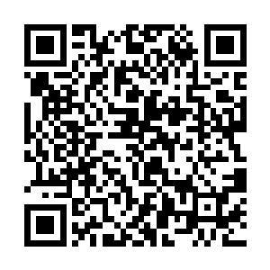 就坐在了距离和陈小练罗迪隔了两排后的座位上坐下二维码生成