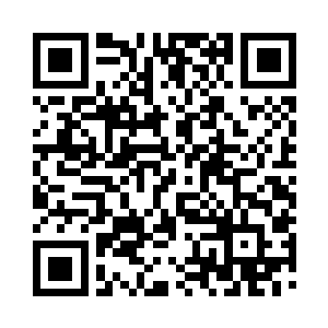 就她那点算不上武功的招式还真的不够打二维码生成