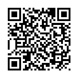 就好似山上死了狼崽子的一群母狼二维码生成