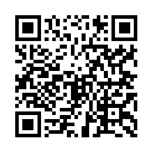 就好像……白桦林里的一朵漂亮的小野二维码生成