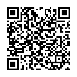 就好像一张没有任何感情温度的面具镶在上面一样二维码生成