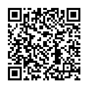 就好像会场上的发生的一切和他们没有半毛钱的关系二维码生成