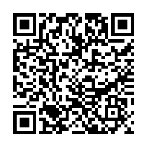 就好像吕轻尘事先将两座至尊战堡50%的战斗力都带走一样二维码生成