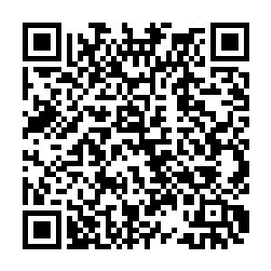 就好像和她是好友的陌路离殇和对于她其实还属于不太熟的那种的琴瑟色二维码生成