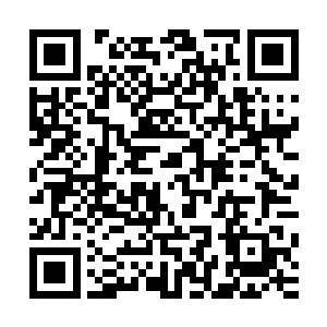 就好像在他身边不远处盯着他的马斯切拉诺根本就是空气一样二维码生成