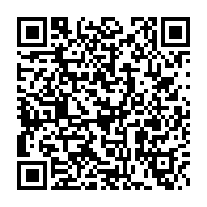 就好像她已经完全知道录像曝光带来的后果――如果她提到确切的名字二维码生成