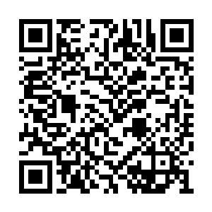 就好像当初他们在京城许诺的话从来没有过似的二维码生成