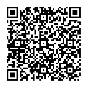 就好像恩斯特不知道雨果年仅二十七岁就能够有如此清晰的思路到底是什么原因一样二维码生成