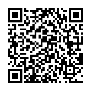 就好像是一个画家在一张寥寥几笔的白纸上开始勾画二维码生成