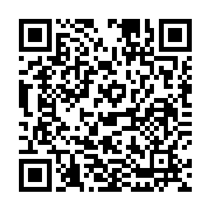 就好像是一个老农每天都会在自家的菜地上转一圈一样二维码生成