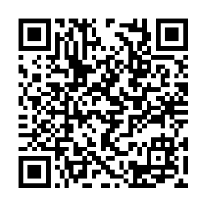 就好像是一块覆盖在山壁上的布被人给扯动了一样二维码生成