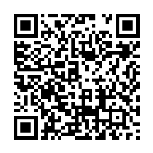 就好像是一阵风般嗖的一下就到了林烽的卧室门口二维码生成